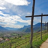 Sentier de randonnée sur la Route des vins du Sud
