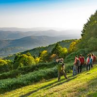 Groupe d'amis en randonnée, admirant une vue splendide sur les Vosges