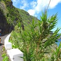 Environs de Porto Moniz