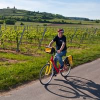 Cyclotouriste sur un chemin dans le Palatinat en Allemagne