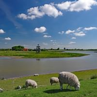 Parc national de l'Osterscheelde