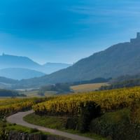 Vue de la route des vins d'Alsace et des Vosges