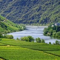 Vue sur la rivière Moselle en Allemagne