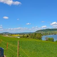 Cycliste sur les hauteurs du lac de constance