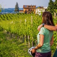 Visiter le Piémont à vélo, vignobles