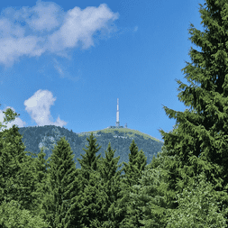 Vue du volcan Puy de Dôme avec antenne blanche au sommet, encadré par des conifères au premier plan sous un ciel bleu avec nuages blancs.