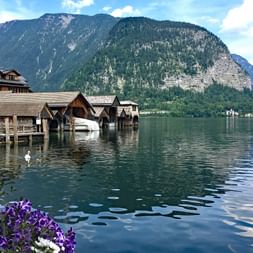 Rives du lac d'Hallstatt