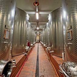 Visite de cave à Barolo