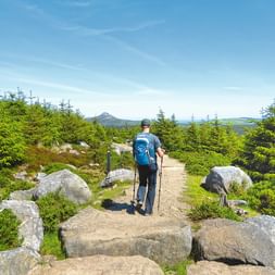 Randonneur avec sac à dos bleu et bâtons de marche sur sentier rocheux à travers paysage vert sur le Wicklow Way, Irlande, montagnes au loin.