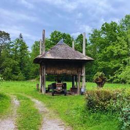 Abri en bois au toit de chaume abritant un tracteur vintage, entouré de champs verts et d'arbres dans la campagne hollandaise.