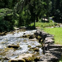 Sources du Doubs