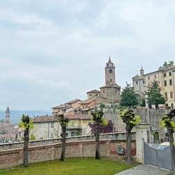 Monforte d'Alba