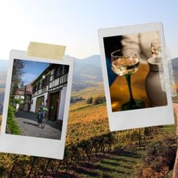 Montage photo montrant une cyclotouriste pédant dans les rues d'un village alsacien, un verre de vin blanc d'Alsace sur fond de vignoble