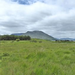 Signalisation de randonnée sur le Great Western Way en Irlande