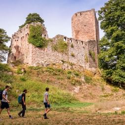 Château du Landsberg, environs d'Heiligenstein