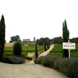 Entrée du Château Belair avec panneau blanc, cyprès, lavandes et chemin de vignoble menant aux bâtiments historiques du domaine.