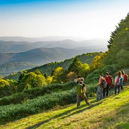Groupe d'amis en randonnée, admirant une vue splendide sur les Vosges