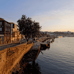 Promenade fluviale à Porto avec bâtiments traditionnels le long du Douro au coucher du soleil. Un arbre se dresse sur le quai.