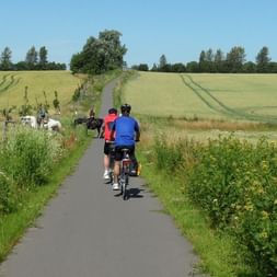 Groupe de cyclistes sur chemin pavé à travers campagne avec champs de blé dorés, végétation verte et arbres sous ciel bleu clair.