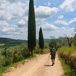 Sentier dans les environs de Panzano