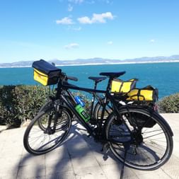 Vélo Plus de location