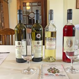 Cinq bouteilles de vin et deux verres sur une table dans le Palatinat. Les bouteilles contiennent des vins blancs, rouges et rosés avec une brochure.