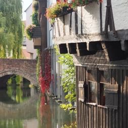 Maisons à colombages traditionnelles avec jardinières bordent une rivière calme à Ulm. Un pont de pierre avec arches enjambe l'eau en arrière-plan.