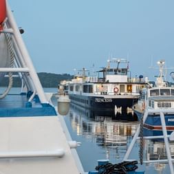 Vue du port depuis le pont d'un bateau montrant le navire Princess et d'autres bateaux amarrés. Garde-corps blancs et bouée orange au premier plan.
