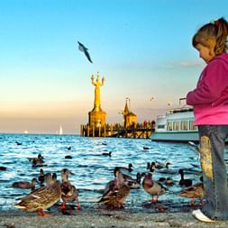 Petite fille observant les pigeons sur les rives du Lac à Constance