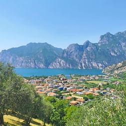 Vue du lac de Garde avec montagnes et village Vue panoramique du lac de Garde avec un village de montagne, des falaises spectaculaires et des oliviers au premier plan sous un ciel bleu.