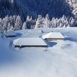Trois chalets traditionnels en bois enfouis dans la neige profonde du massif des Bauges, entourés de forêt de conifères enneigée.