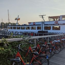 MS Serena, vélos