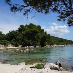 Plage pittoresque de Mulin en Croatie avec eau turquoise, rochers calcaires blancs et pins le long du littoral sous ciel bleu nuageux.
