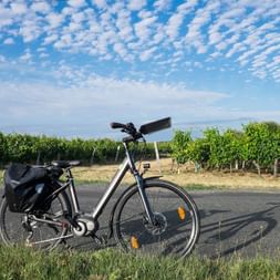 Vélo blanc avec sacoches noires garé au bord de la route près de rangées de vignes sous un ciel nuageux le long de la Loire à vélo.
