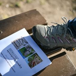 Vacances de randonnée en Alsace avec Espace Randonnée