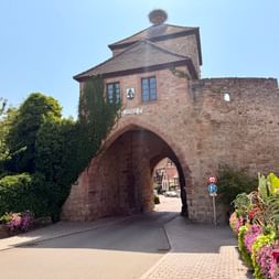 Porte voûtée en pierre avec tour couverte de lierre sur la Route des Vins d'Alsace. Des fleurs colorées bordent la route pavée.