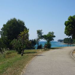 Piste cyclable pavée le long de la côte dalmate avec mer Adriatique bleue, arbres verts et ciel clair. Des lampadaires bordent la route côtière.