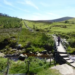Passerelle en bois traversant un ruisseau rocheux sur le Wicklow Way en Irlande, avec collines vertes, forêt de conifères et montagnes ondulantes.