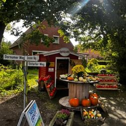 Stand de légumes en bois rouge avec citrouilles, courges et produits sur des caisses en bois. Panneaux de rue et maison en brique visibles.