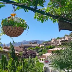 Vue sur le village de Fornalutx à Majorque depuis une terrasse de jardin ombragée avec panier suspendu, palmes et bâtiments en pierre sur la colline.