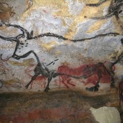 Peintures rupestres préhistoriques du Périgord Noir représentant des animaux dont taureaux et chevaux en pigments noirs, rouges et jaunes.