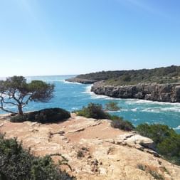 Entre Palma et Colonia Sant Jordi