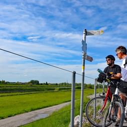 Deux cyclistes avec vélos consultent une carte à un panneau directionnel dans la région du Lac de Constance, entourés de champs verts.