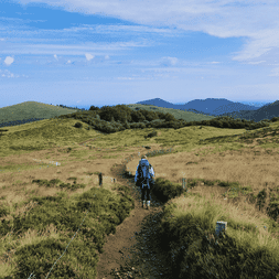 Randonneur avec sac à dos sur sentier traversant prairies des Volcans d'Auvergne. Collines vertes et montagnes lointaines sous ciel bleu.