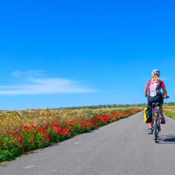 Cyclotouriste sur une route de Majorque au printemps