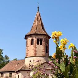 Tour d'église historique en grès rose avec flèche en tuiles en Alsace, entourée de fleurs jaunes et violettes sous un ciel bleu.