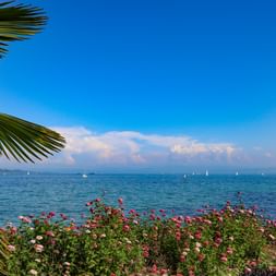 Douceur du climat au Lac de Constance
