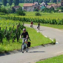 photo-alsace-route-des-vins-randonnee-velo