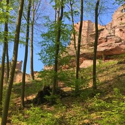 Ruine de château fort dans les Vosges du Nord