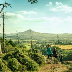 Trois randonneurs sur une colline boisée surplombant des vallées vertes et des montagnes à Wicklow, Irlande. Des pins encadrent la vue panoramique.